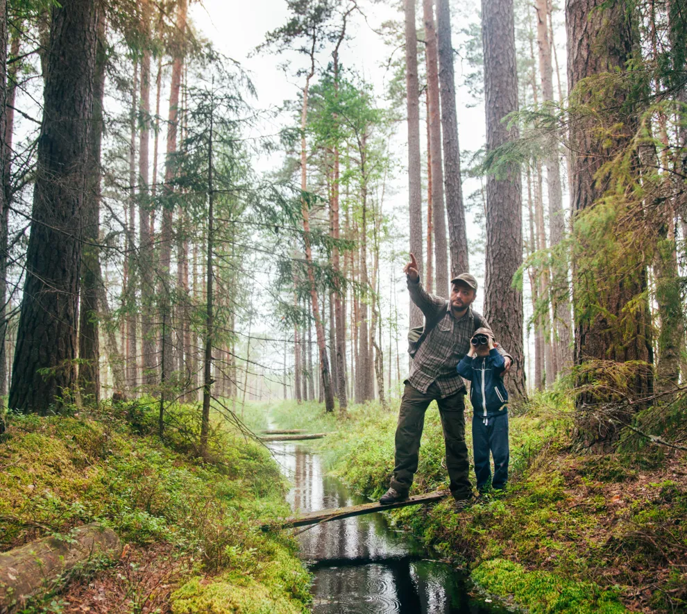 En voksen med et barn som står ved en liten bekk i en urskog