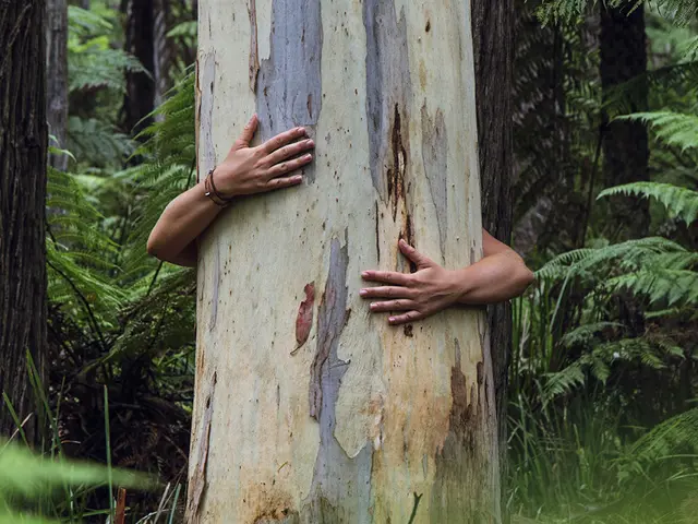 Naturavtalen – hvordan ta vare på "hverdagsnaturen"?