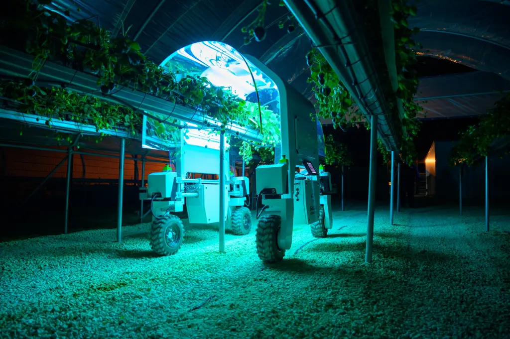 Robotermaskinen med blå lys kjører om natten ved siden av planter