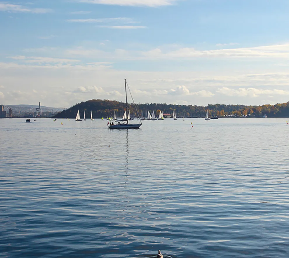 Båter på Oslofjorden en disig sommer-ettermiddag