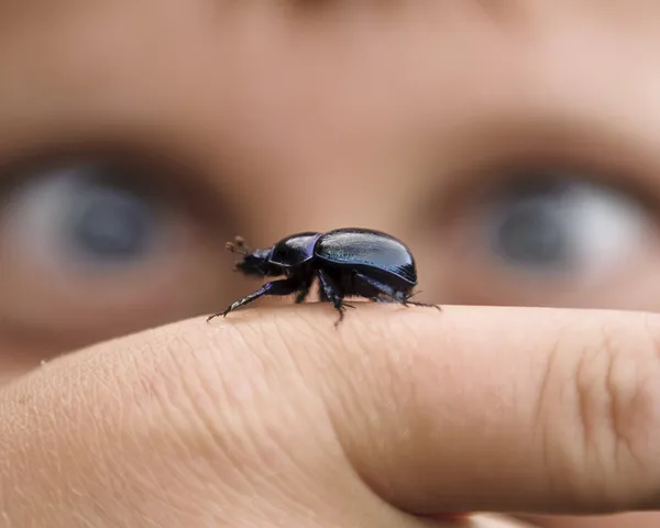 Nærbilde av en gutt som har en bille på fingern