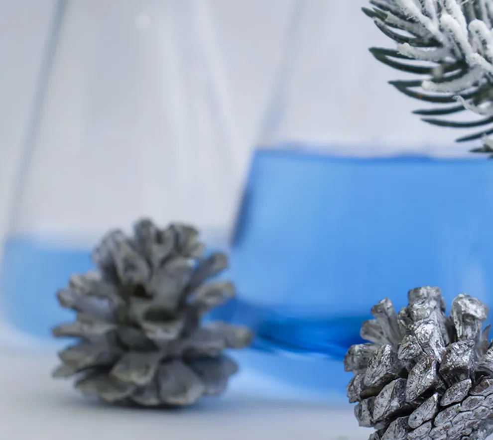 Juledekorasjon med reagensrør og sølvfarget granbar