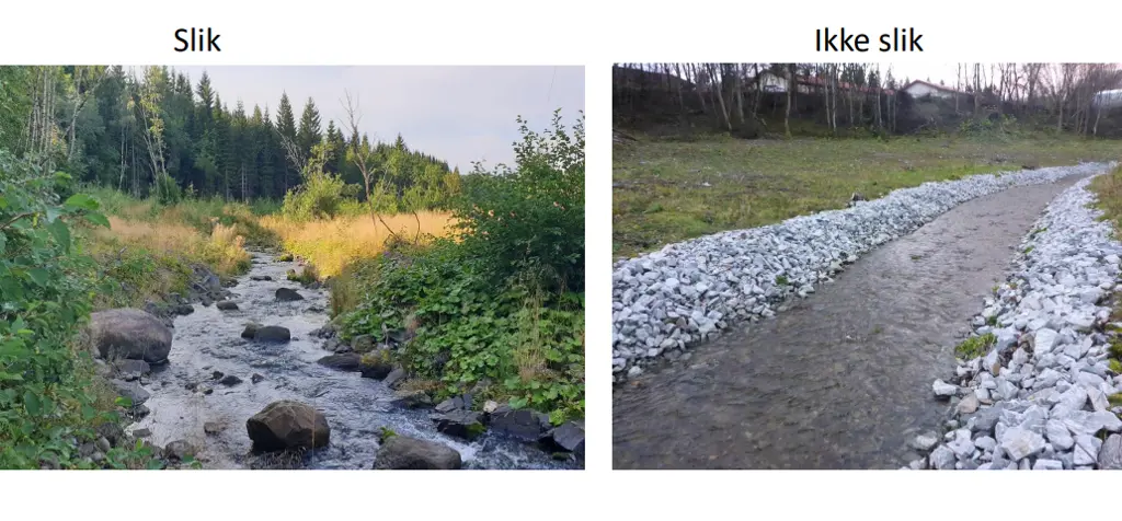To bilder av bekker, en med naturlig stein og vegetasjon, en utformet som en kanal med steinvegger uten planter.