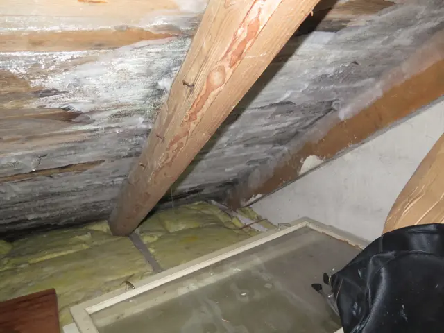 Foto av innvendig tak