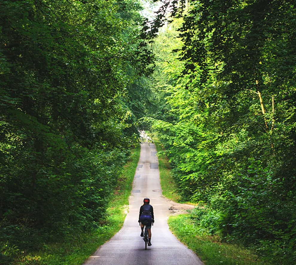 Sykkeltur i skogen
