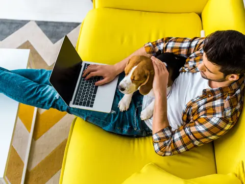 En mann på sofa med laptop og en hund på fanget