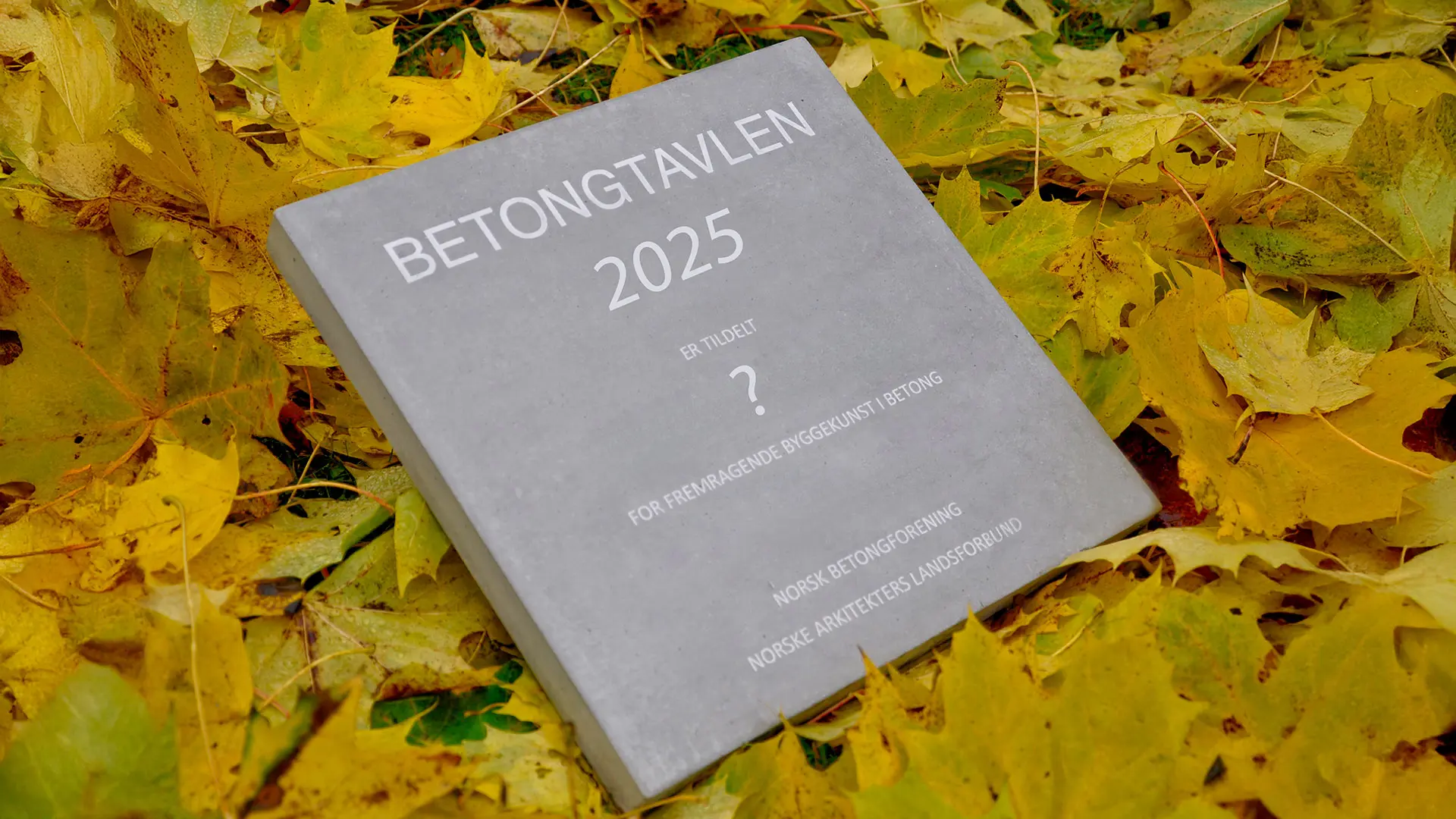 Betongtavle med tekst