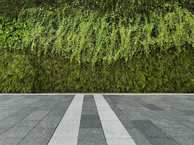 Steinsatt flate mot grønn bakvegg