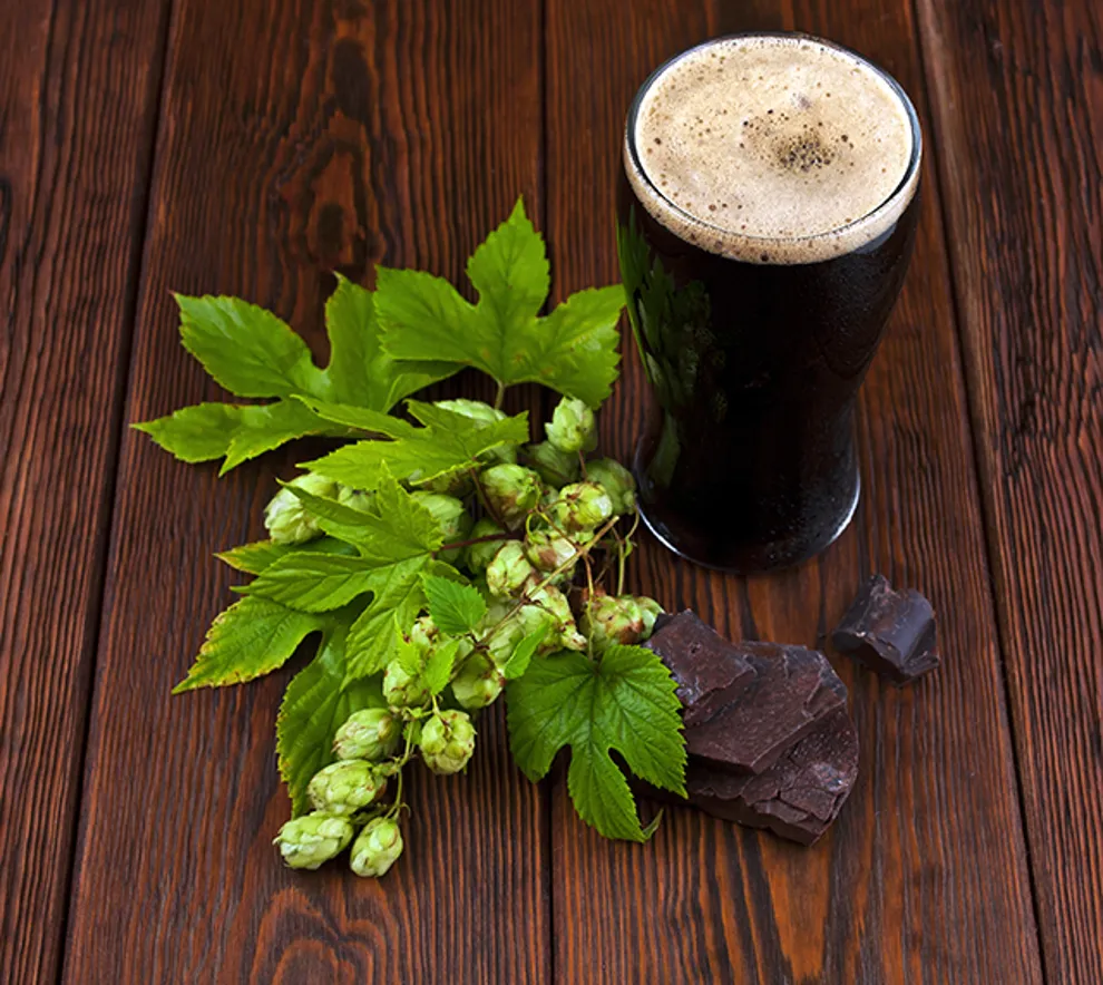 sjokolade og humleplante