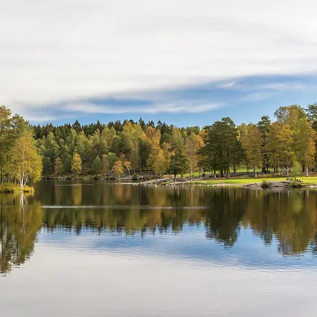 Sognsvann