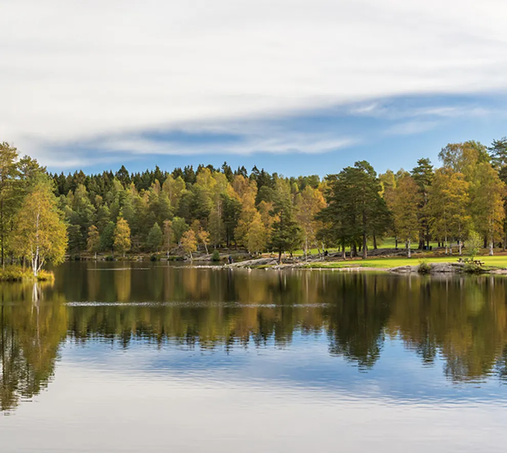 Sognsvann