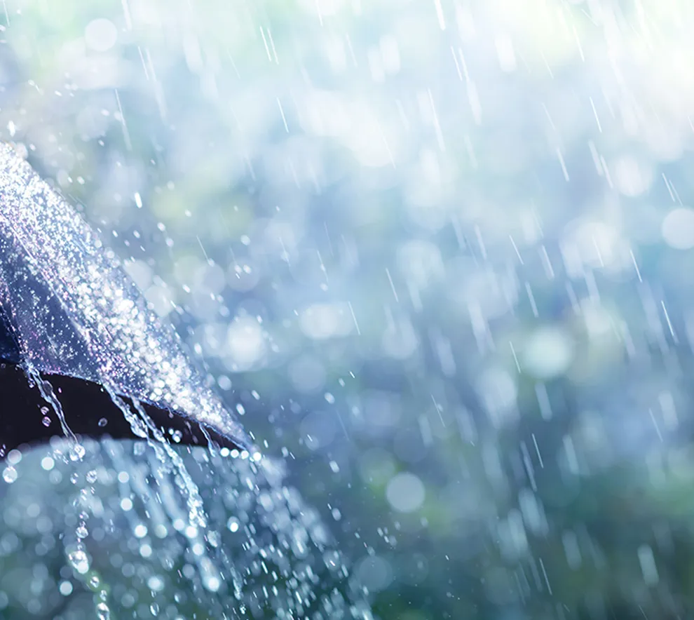 Styrtregn over svart paraply