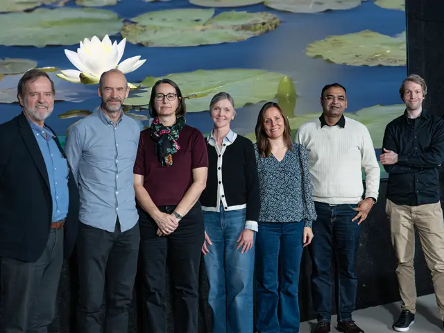 Herman Helness, Ragnhild Raastad, Christian Vogelsang, Kristine Akervold, Nachiket Marathe, Thorben O. Reiche.   