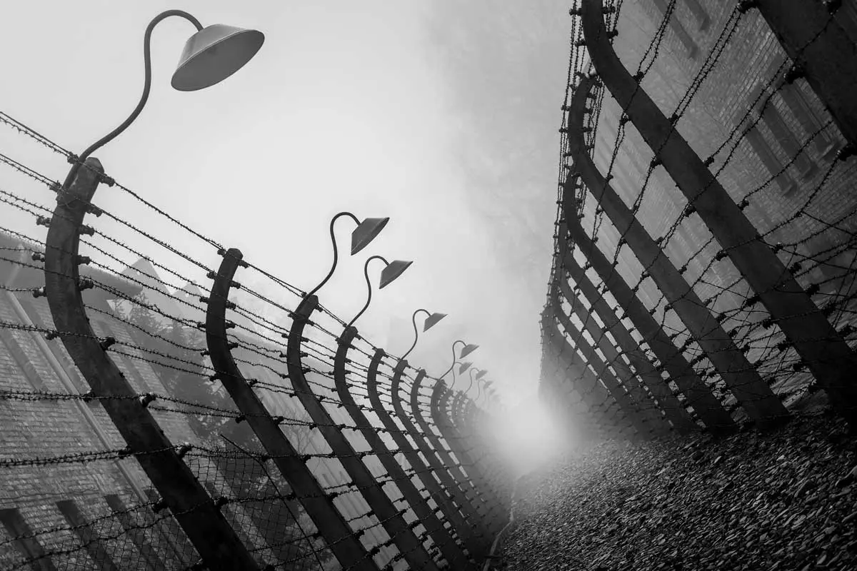 Dramatisk bilde av piggtrådgjerde i Auschwitz