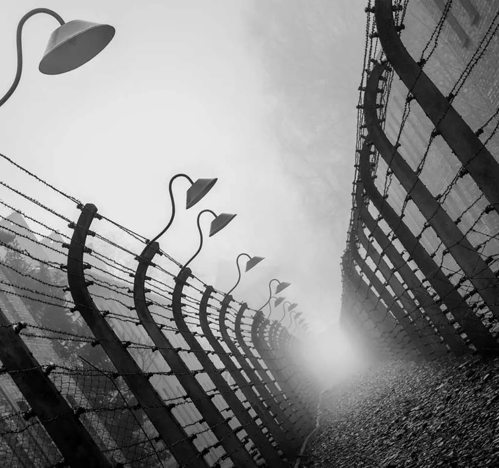 Dramatisk bilde av piggtrådgjerde i Auschwitz