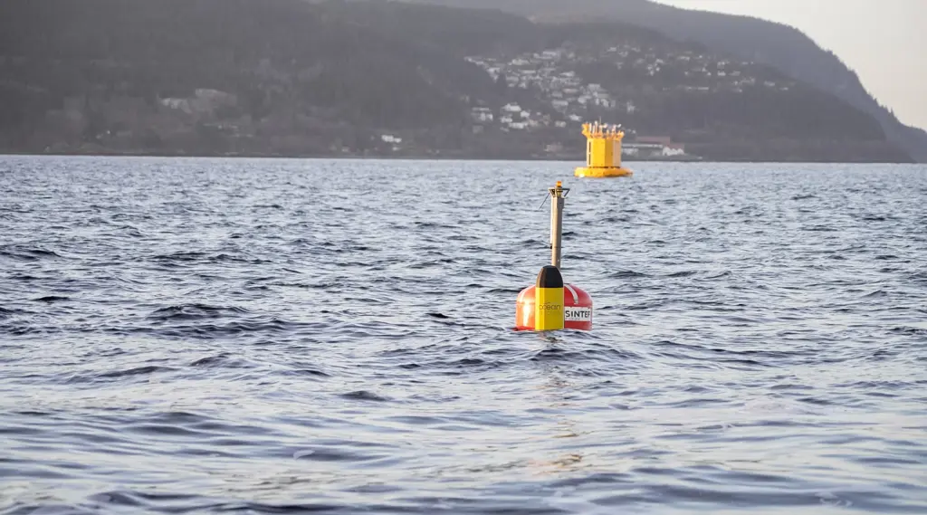 Gul og rød bøye i sjøen