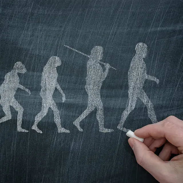menneskets evolusjon tegnet med kritt på tavle, hånd som tegner siste illustrasjon i høyre hjørne.