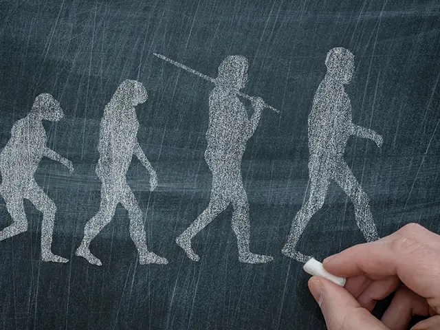 menneskets evolusjon tegnet med kritt på tavle, hånd som tegner siste illustrasjon i høyre hjørne.