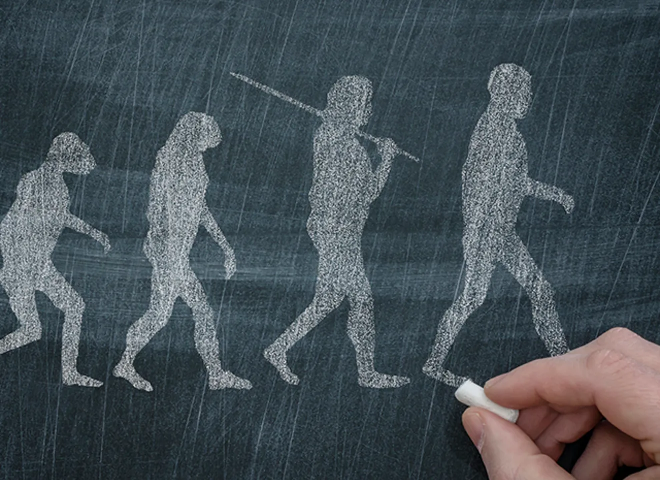 menneskets evolusjon tegnet med kritt på tavle, hånd som tegner siste illustrasjon i høyre hjørne.