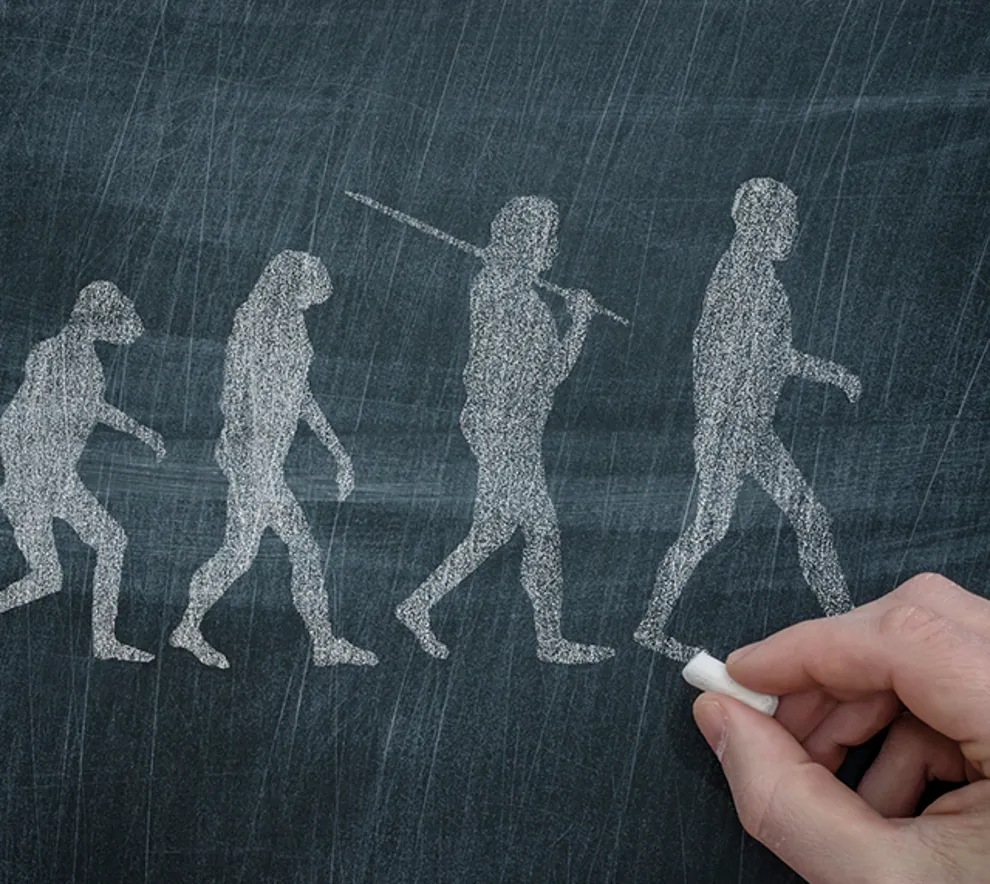 menneskets evolusjon tegnet med kritt på tavle, hånd som tegner siste illustrasjon i høyre hjørne.