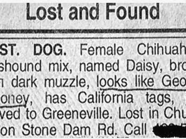 Lost and Found