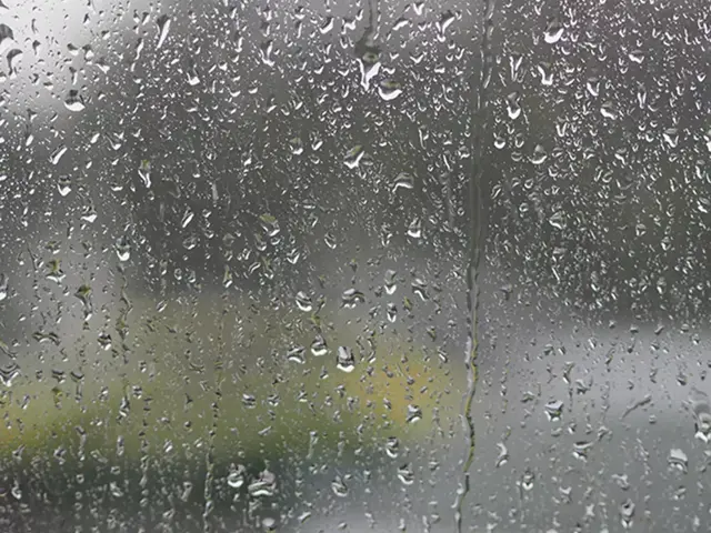 regn på vindusglass