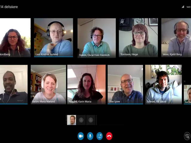 Skjermbilde av en videokonferanse