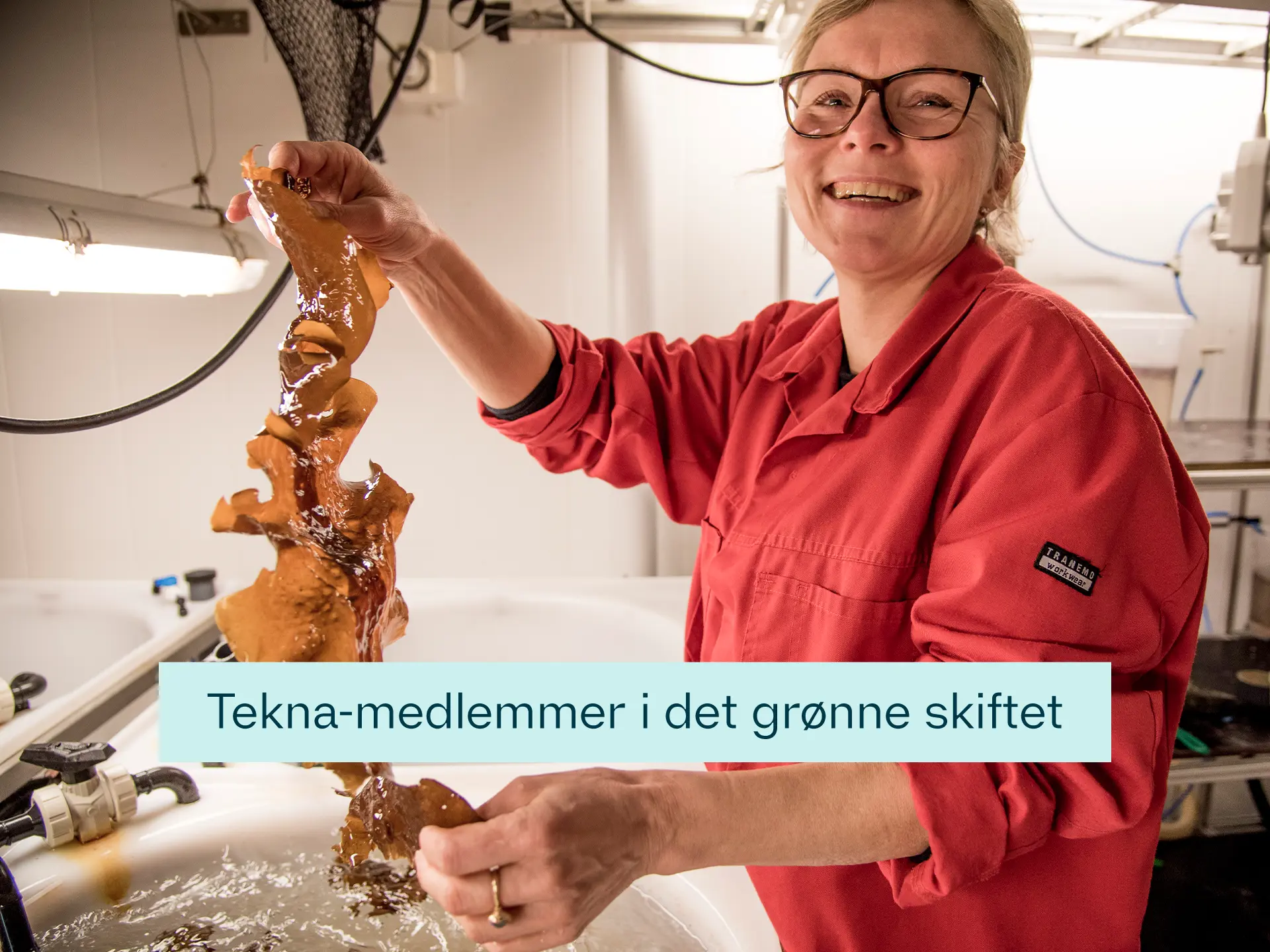 Jorun Skjermo med tare