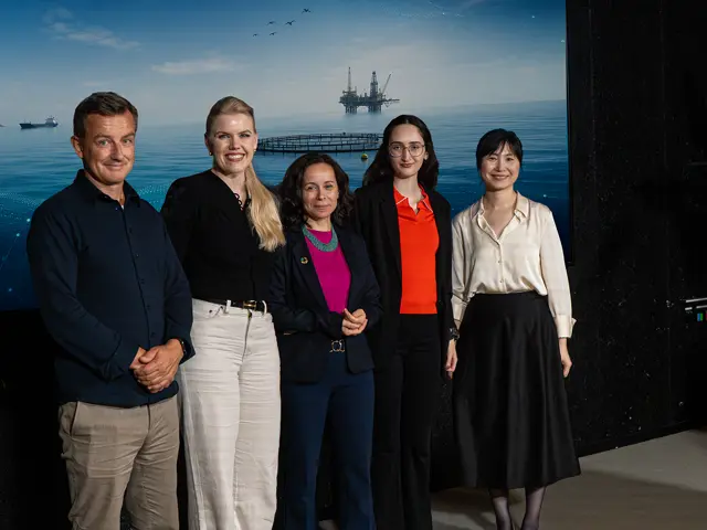 Jo Øvstaas, Anna With Rødstøl, Samaneh Mousavi, Aurelia Paraschiv