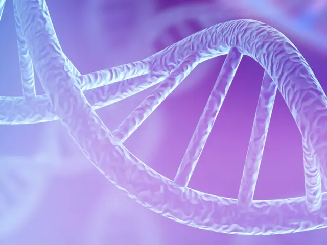 Syntetic biology t