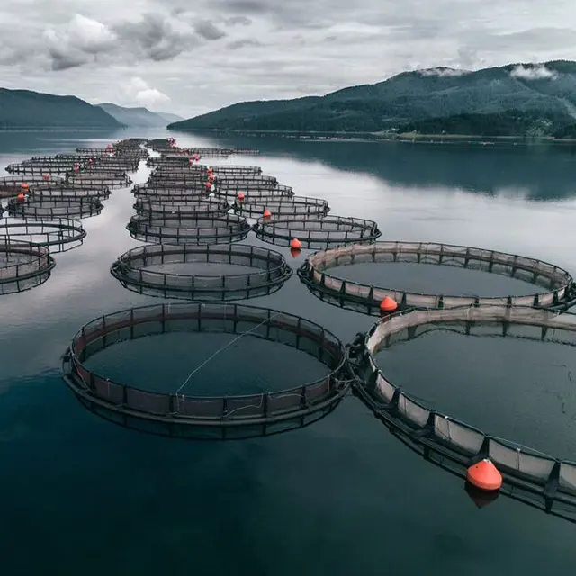 Fiskeoppdrettsanlegg mellom fjell i norsk natur