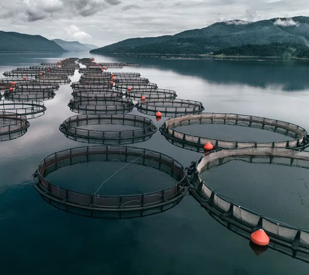 Fiskeoppdrettsanlegg mellom fjell i norsk natur