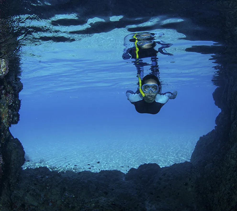 Fridykker under vann