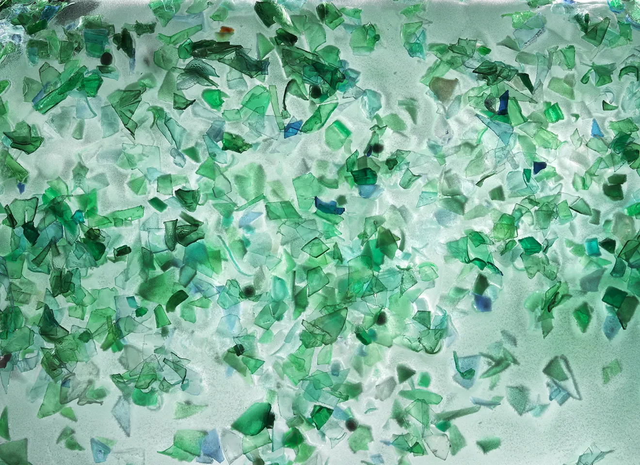 Grønn plastbiter