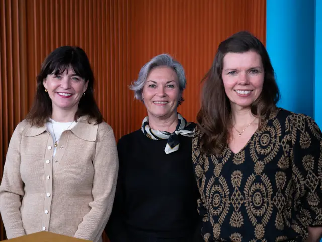 Birgitte Jordahl, Kjersti Løken Stavrum og Bente Kalsnes