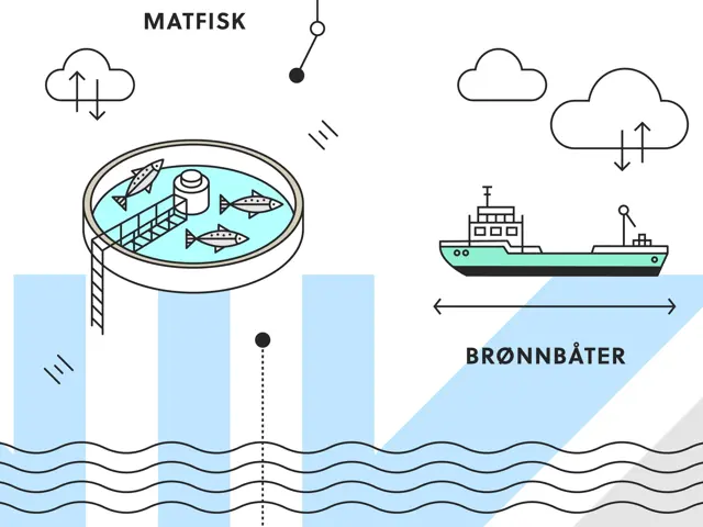 del av havåker skjematisk