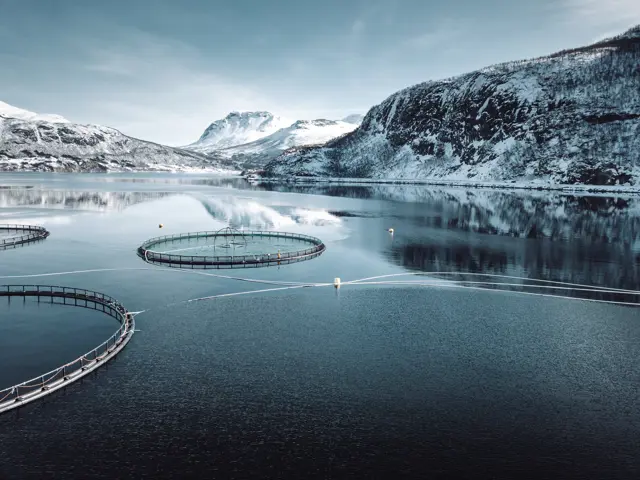 Fiskeoppdrett om vinteren, Norge
