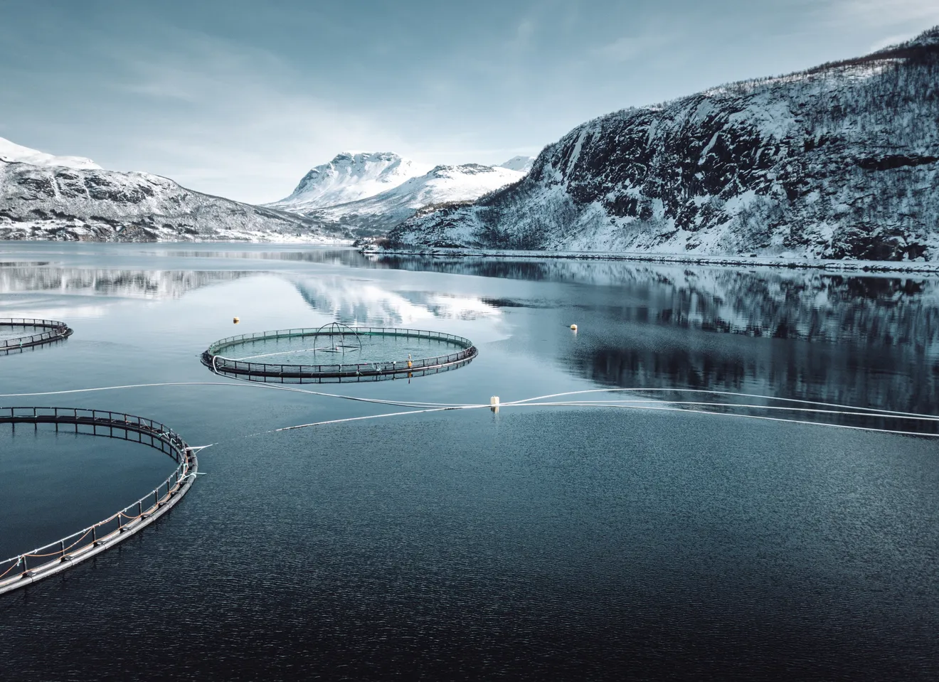 Fiskeoppdrett om vinteren, Norge
