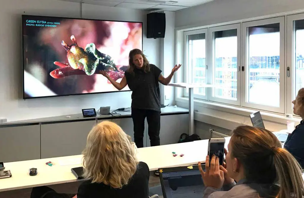 Pia Ve Dahlen holder foredrag med en storskjerm i bakgrunn og deltakere foran