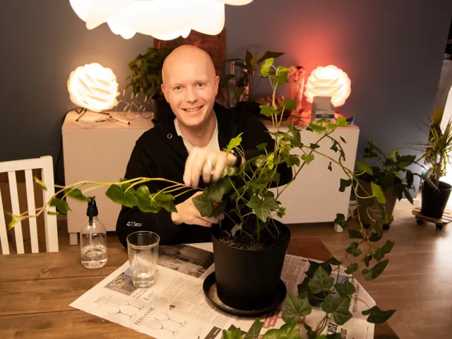 Mann som steller potteplanet