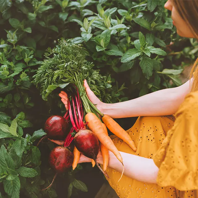 Kvinne som holder grønnsaker i grønnsakshage