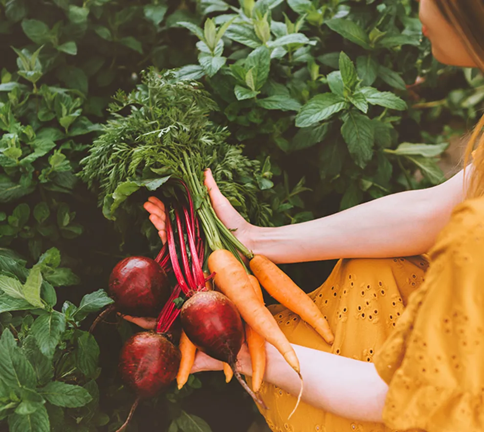 Kvinne som holder grønnsaker i grønnsakshage