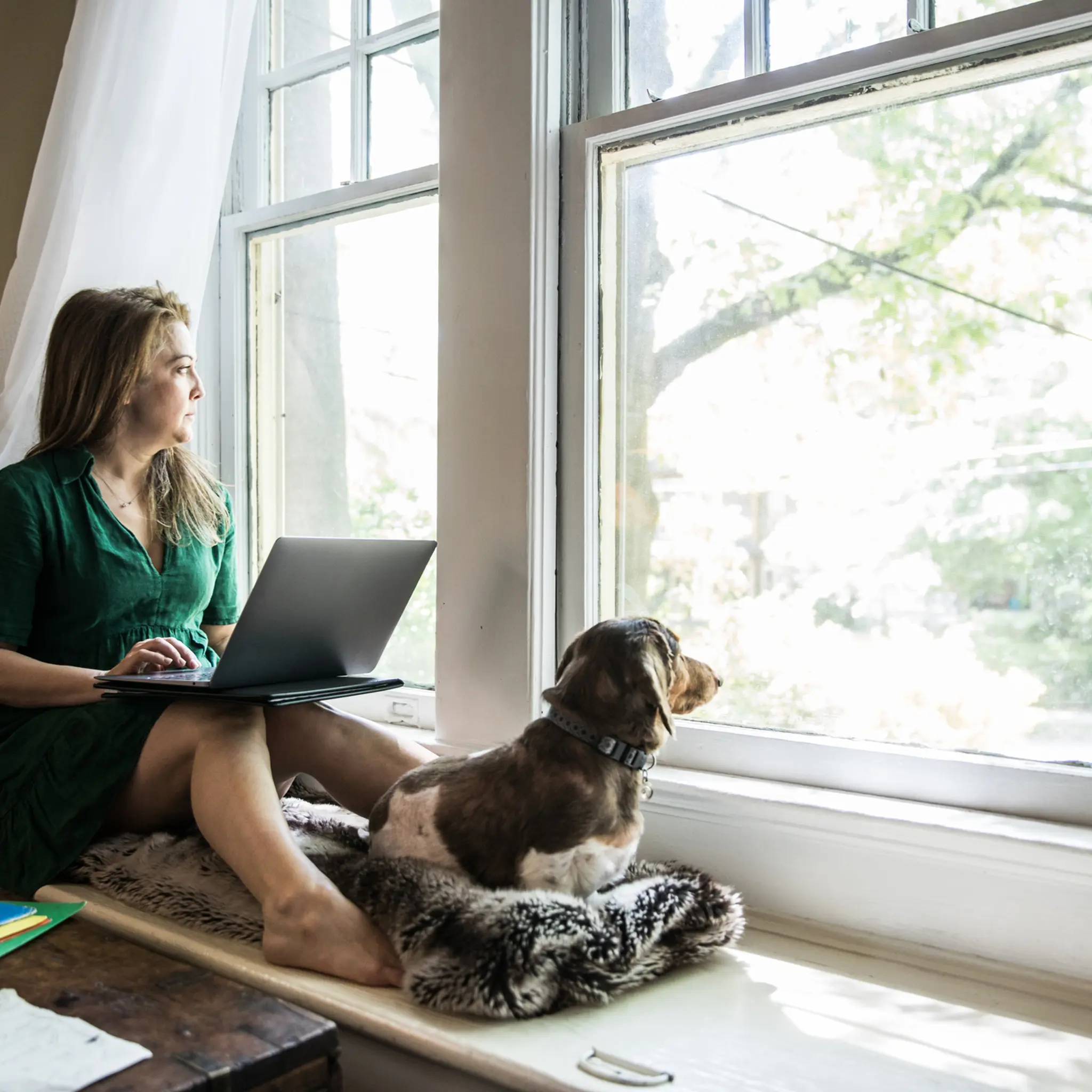 Illustrasjonsbilde av en kvinne med laptop og hund sitter i vindu og har hjemmekontor