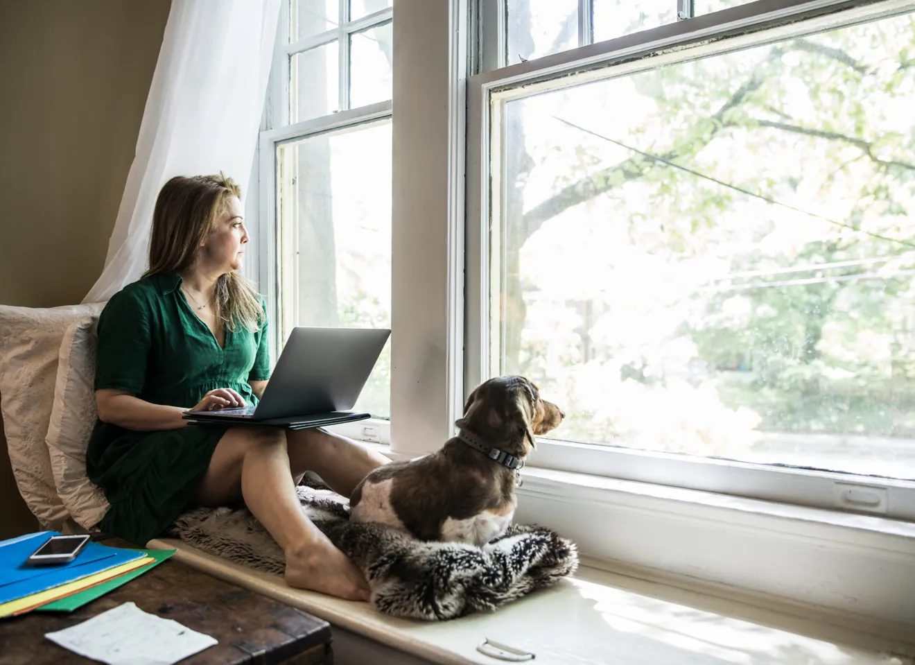 Illustrasjonsbilde av en kvinne med laptop og hund sitter i vindu og har hjemmekontor