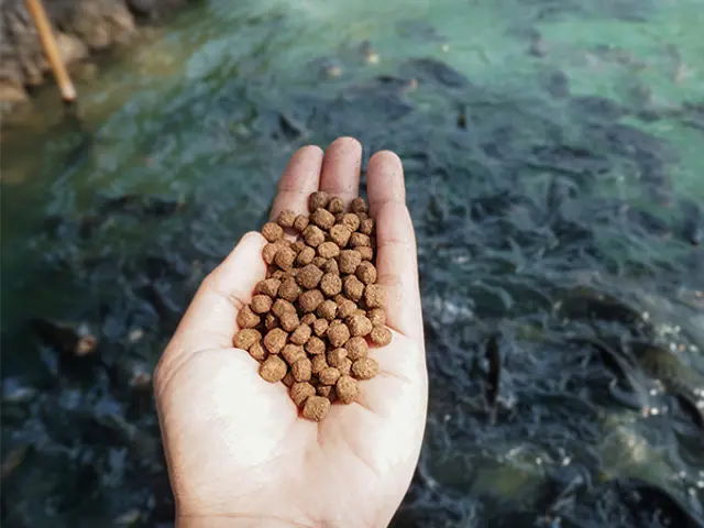 Pellets