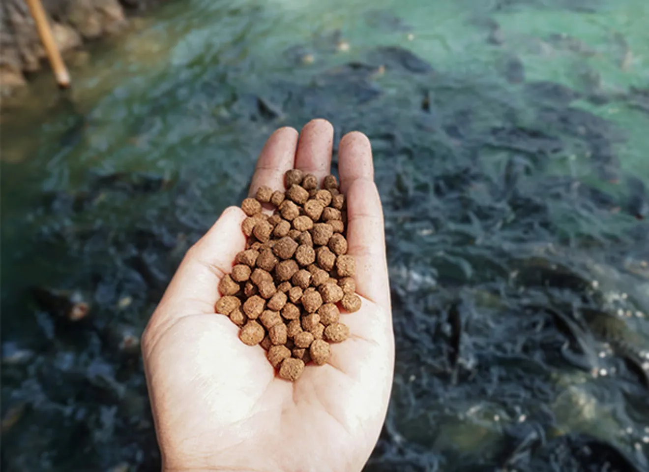 Pellets