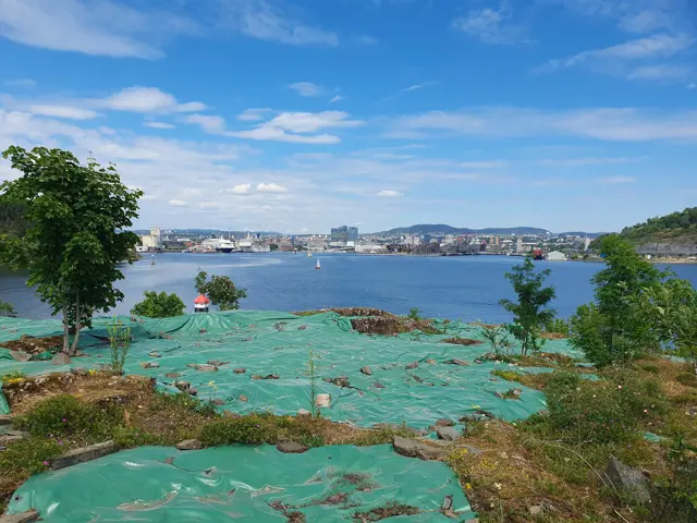 Presenning er lagt over planter