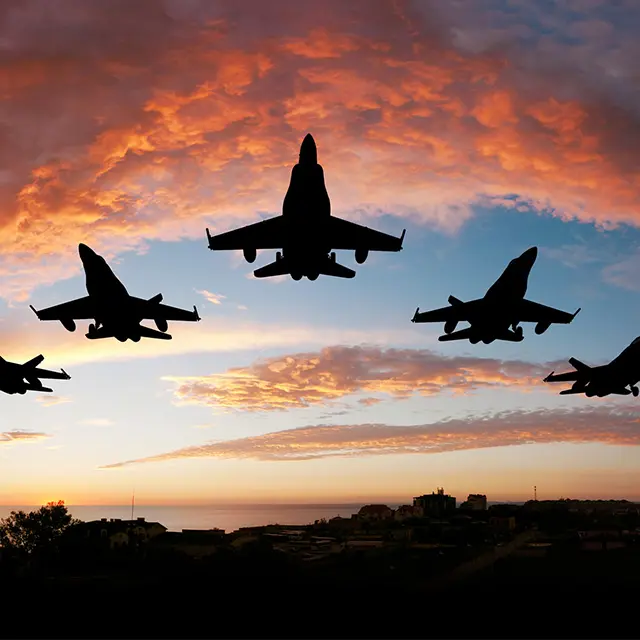 Jagerfly i solnedgang
