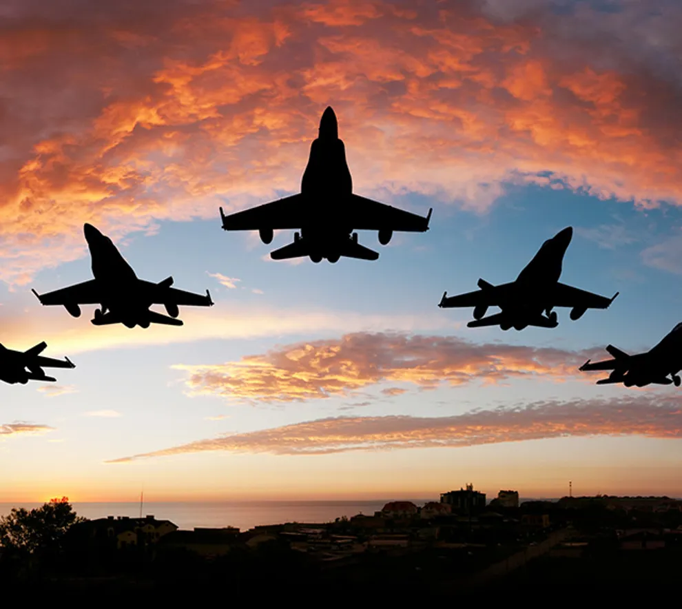 Jagerfly i solnedgang