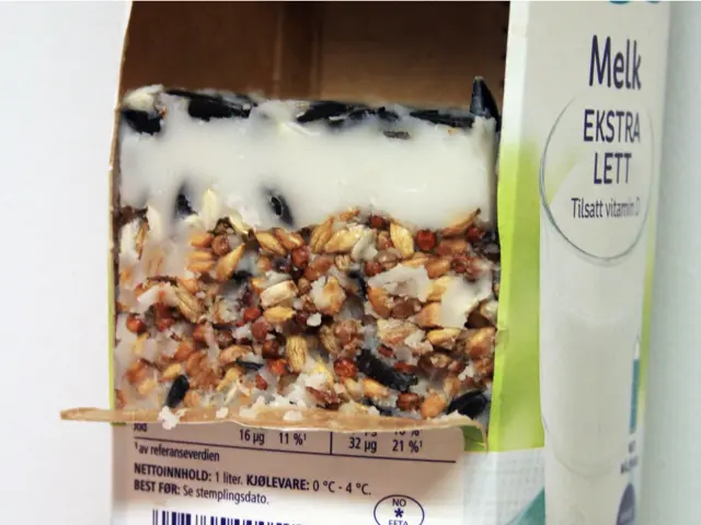 En melkekartong med fuglemat i